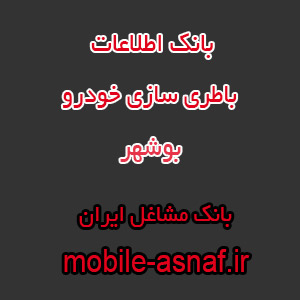 اطلاعات باطری سازی خودرو بوشهر