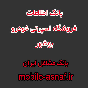 اطلاعات فروشگاه اسپرتی خودرو بوشهر