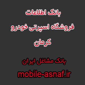 اطلاعات فروشگاه اسپرتی خودرو کرمان