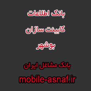 اطلاعات کابینت سازان بوشهر