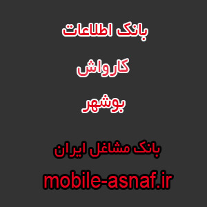 اطلاعات کارواش بوشهر